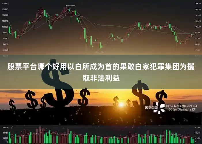 股票平台哪个好用以白所成为首的果敢白家犯罪集团为攫取非法利益